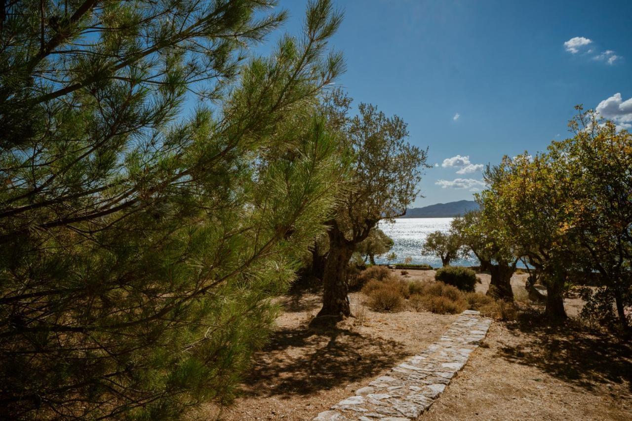 Seafront Traditional Stone House In Sunset Olive Grove - B Villa Alyfanta Exterior foto